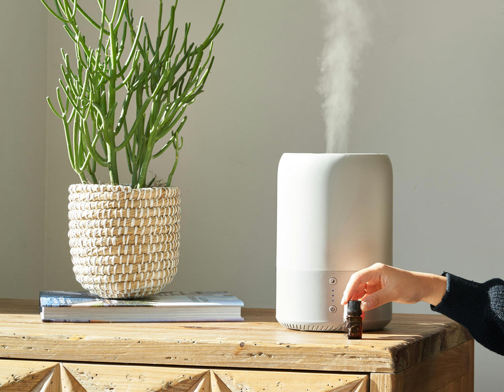 Aromatherapy That Works: How Scent Can Supercharge Your Brain