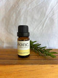 Eucalyptus Organic Essential Oil <br> 100% Pure, Therapeutic Quality, Sourced from Certified Organic Growers