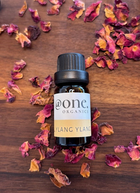 Ylang Ylang Essential Oil <br>100% Pure, Therapeutic Quality, Sourced from Certified Organic Growers